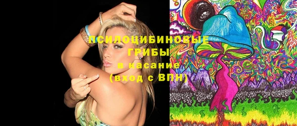 круглые Алзамай
