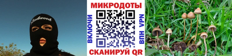 blacksprut как войти Сосновка Псилоцибиновые грибы GOLDEN TEACHER купить закладку